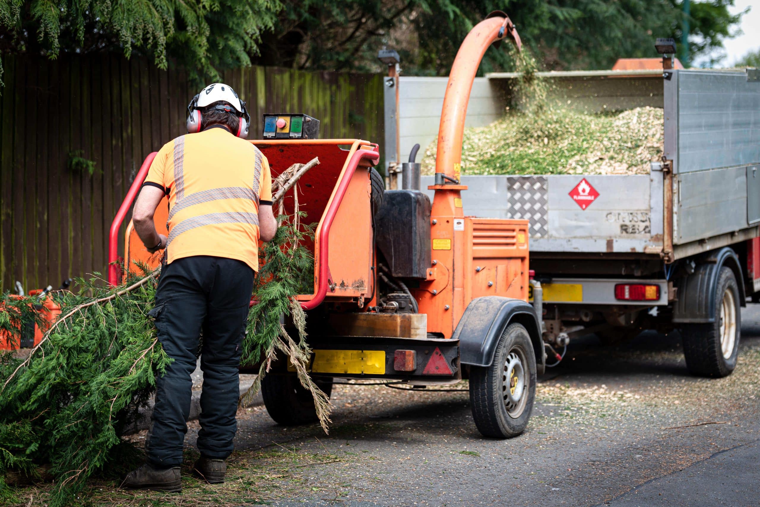 Tree Stump Grinding/Removal Earl's Court SW5